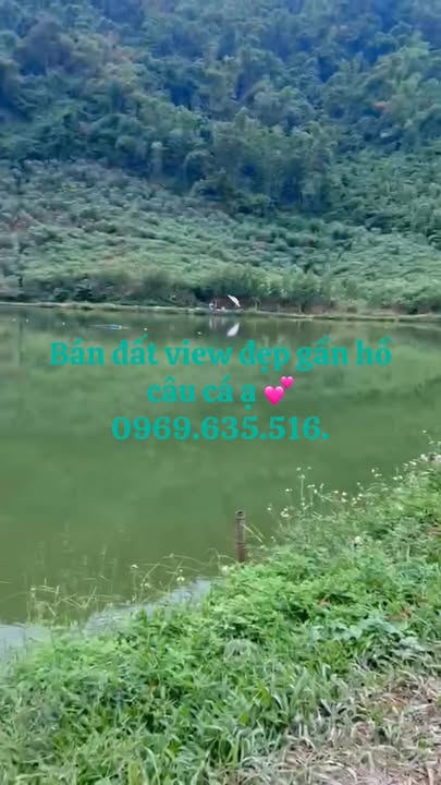 Đất Hùng Long 1000m² giá 750 triệu - Sổ đỏ chính chủ, vị trí đẹp!