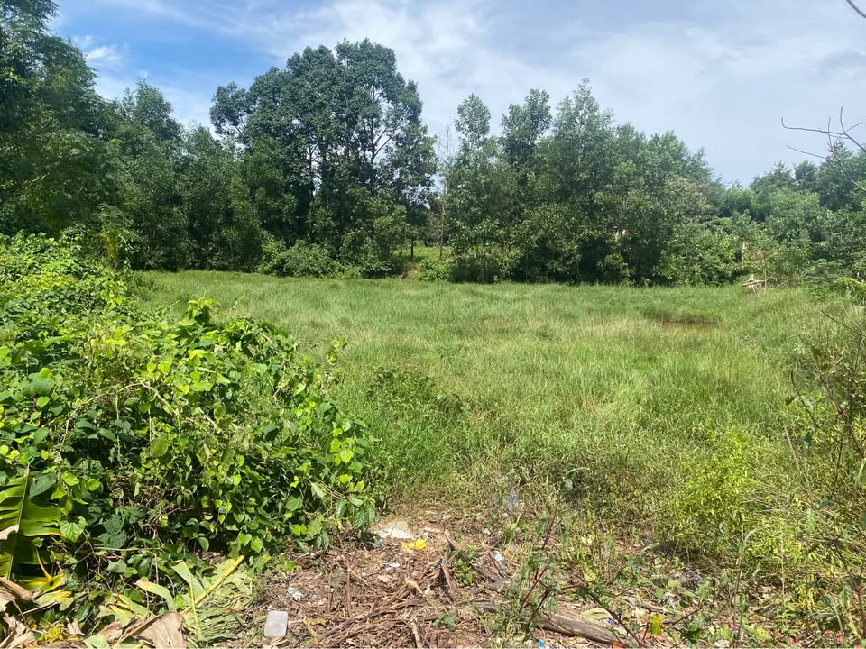 Đất nền 650m² Hòa Khánh - Giá cực rẻ, sổ hồng chính chủ!