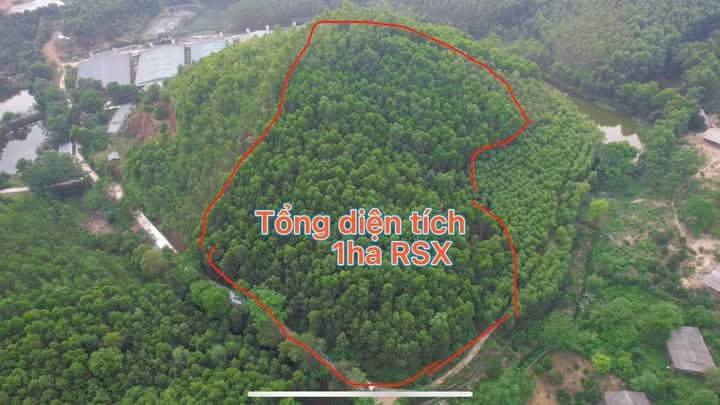 Đất rừng sản xuất 1ha tại xã Thanh Thủy, Phú Thọ - Giá chỉ 900 triệu