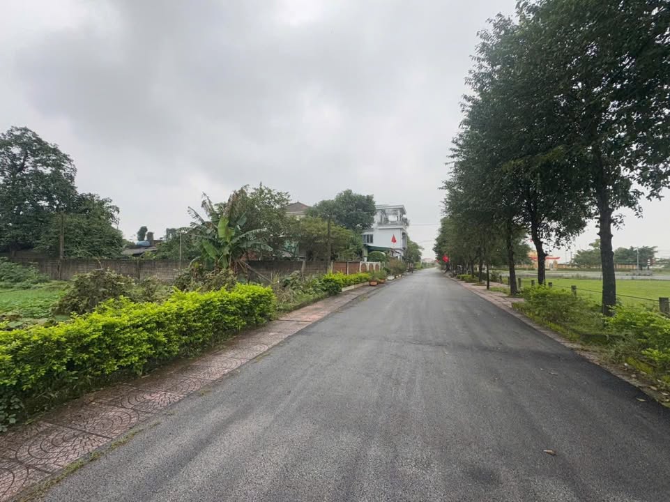 Bán đất Thạch Hạ 257m² giá 2 tỷ - Đối diện sân bóng Tân Lộc