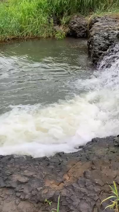 Đất thổ cư 1506.8m² tại xã Sông Ray, Cẩm Mỹ - Giá chỉ 8.712 tỷ!