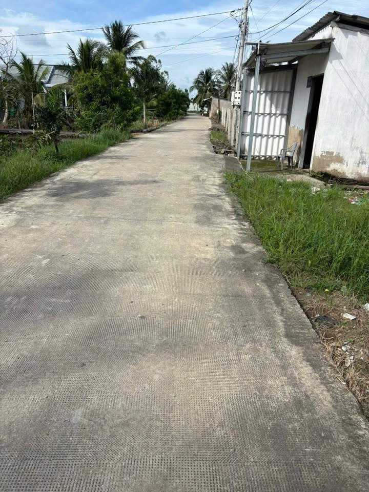 Đất lúa 1000m² tại Phú Ngãi Trị, Châu Thành giá 700 triệu - Đường ô tô thuận lợi!