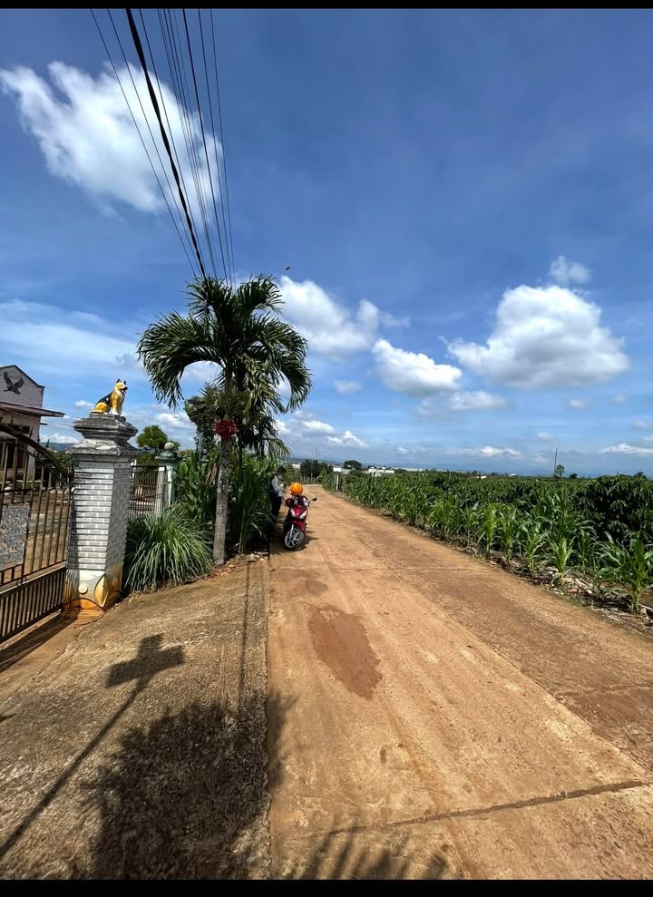 Đất thổ cư Tân Hội Đức Trọng 150m² giá 680 triệu - Sổ hồng riêng, pháp lý rõ ràng!