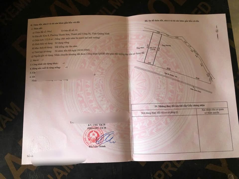 Đất nền Uông Bí 132m² giá 1.1 tỷ - Tiềm năng đầu tư lớn!