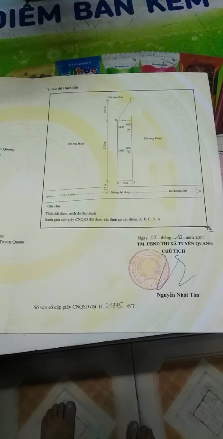 Đất nền phường Nông Tiến Tuyên Quang 130m² - Hướng đẹp, giá tốt thỏa thuận!