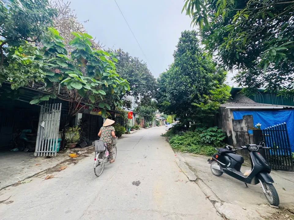 Đất nền Nông Tiến Tuyên Quang 210m² - Giá tốt, đầu tư sinh lời!