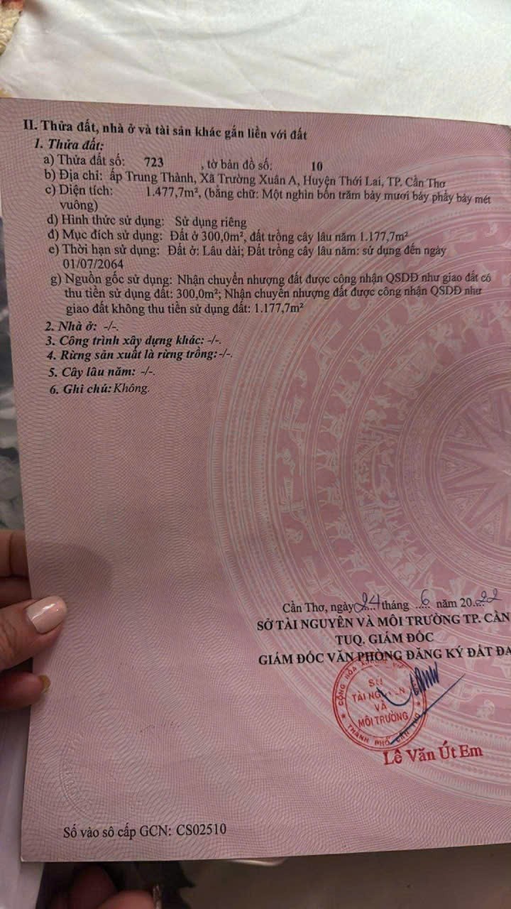 Đất thổ cư 300m² Trường Xuân Thới Lai 1477m² giá 1.55 tỷ - Cơ hội đầu tư lý tưởng!