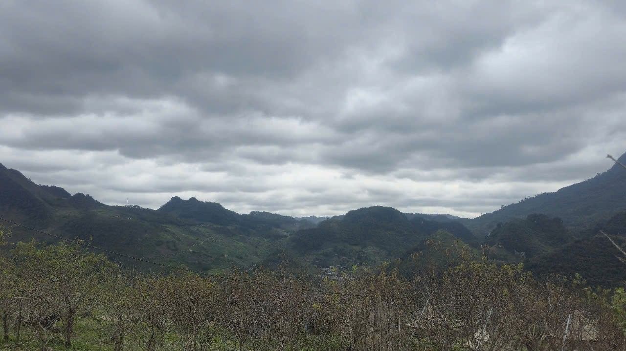 Đất dịch vụ thương mại Mèo Vạc 546m² giá 1 tỷ - Cơ hội đầu tư hiếm có!