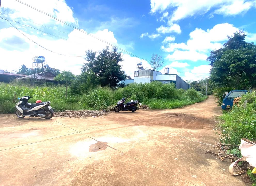 Đất nền Tân Hòa Buôn Ma Thuột 105m² giá 1.15 tỷ - Cơ hội đầu tư không thể bỏ lỡ!
