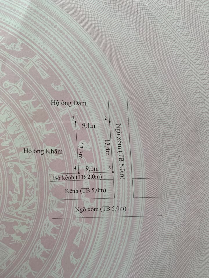 Đất thổ cư 123m² Tiên Lãng - Đường ô tô vào tận nơi, giá thỏa thuận!