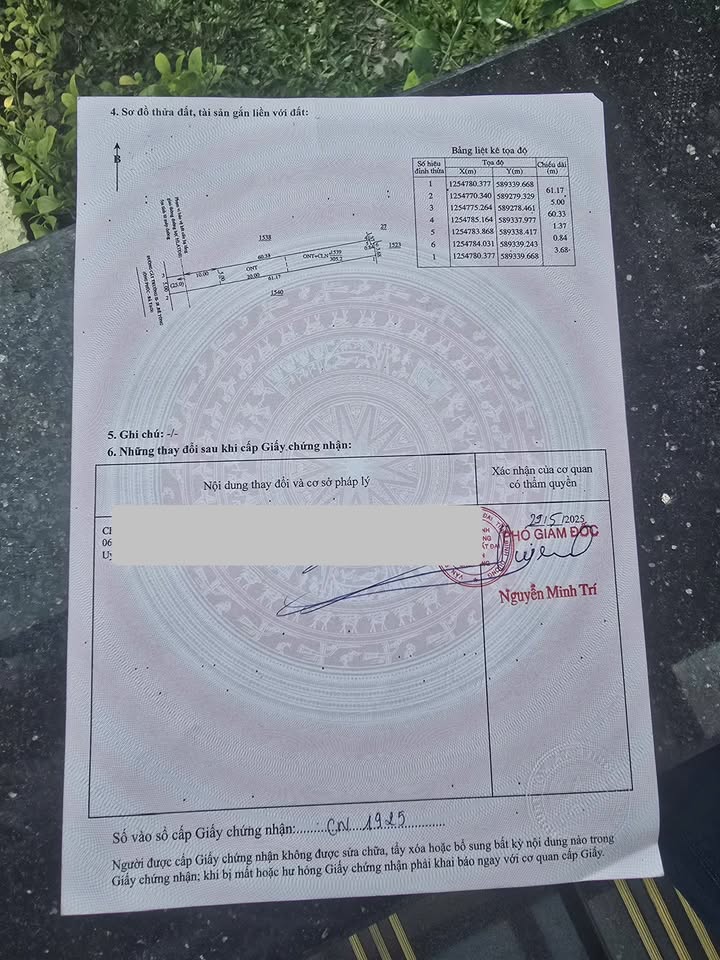 Đất nền Cây Trường II 650m² giá thỏa thuận - Đầu tư sinh lời ngay!