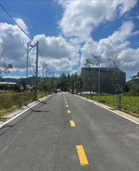 Đất nền Ngõ Mai Anh Đào, Phú Hội 115m² giá chỉ 1.17 tỷ - Cơ hội đầu tư tuyệt vời!