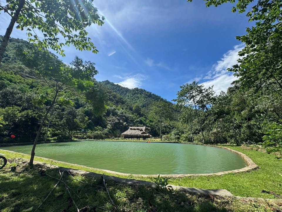 Farm Suối Cót, Tú Lý, Đà Bắc 60.000m² - Khu trải nghiệm sinh thái đẳng cấp!