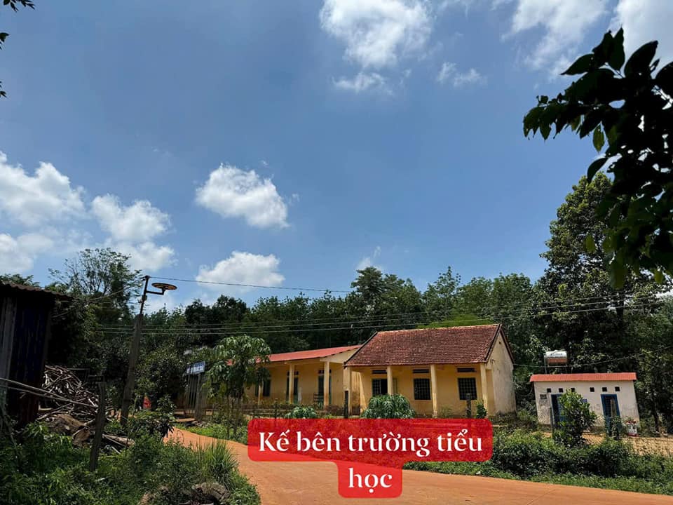 Đất nền Tân Hưng Hớn Quản 2000m² giá chỉ 600 triệu - Đầu tư sinh lời ngay!