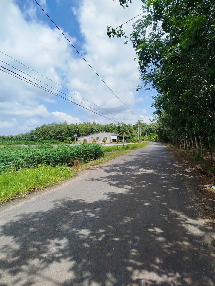 Đất nền khu dân cư Thạnh Sơn 200m² giá 600 triệu - Sổ đỏ chính chủ