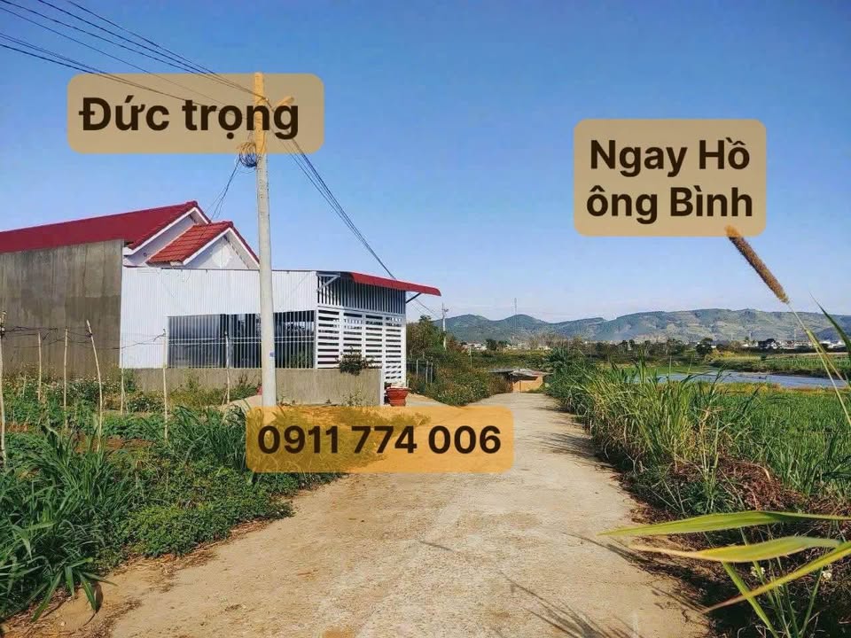 Đất thổ cư 276m² xã Phú Hội huyện Đức Trọng giá 1.1 tỷ - Hướng Nam, view đẹp!