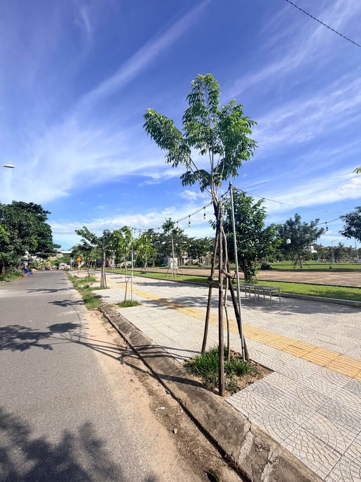 Đất nền đường Trần Hữu Duẩn, Hòa Xuân 113.5m² - Hướng Nam, đối diện công viên