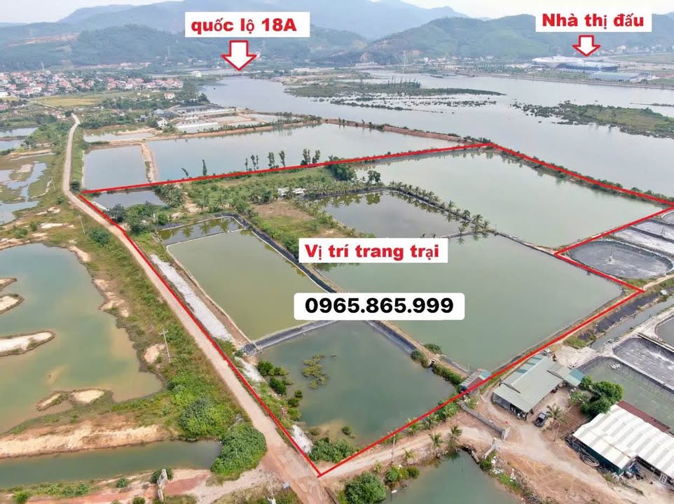 Trang trại đẹp nhất Quảng Yên - 5ha giá chỉ 2x tỷ - Cơ hội đầu tư tuyệt vời!