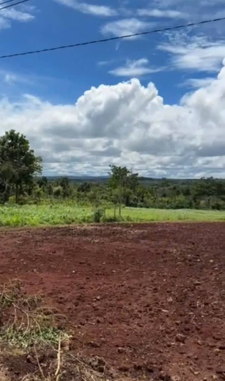 Đất nền xã Ea Drong, Buôn Hồ, Đắk Lắk 330m² giá 530 triệu - Hướng Nam, ô tô vào tận nơi!