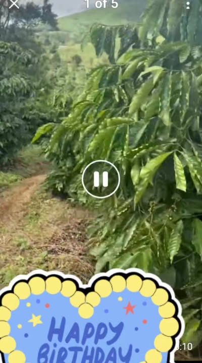 Đất nền Cư Klông, Buôn Hồ 800m² giá 1.45 tỷ - Đất đỏ thoải nhẹ, đường nhựa 100m