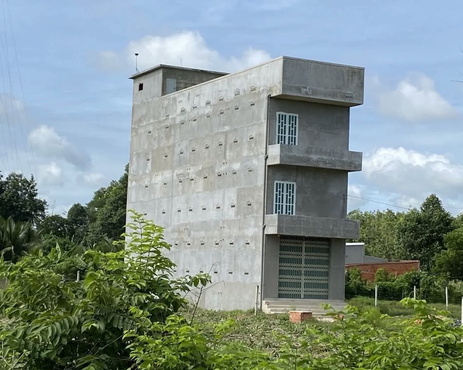 Đất nền Hoàng Quốc Việt 1000m² giá 4.1 tỷ - Đầu tư sinh lời ngay!