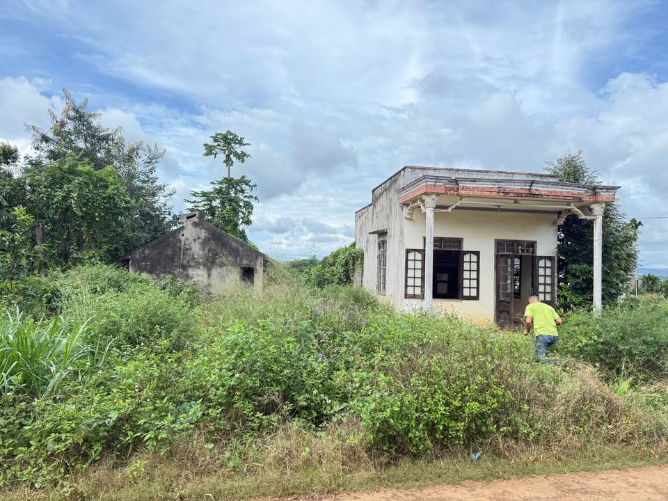 Đất nền chính chủ tại xã Xuân Phú, 1400m² giá 91 tỷ - Pháp lý rõ ràng!