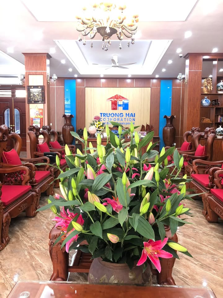 Đất mặt phố Thiên Đức Kinh Bắc 90m² - Đang cho thuê 200 triệu/năm