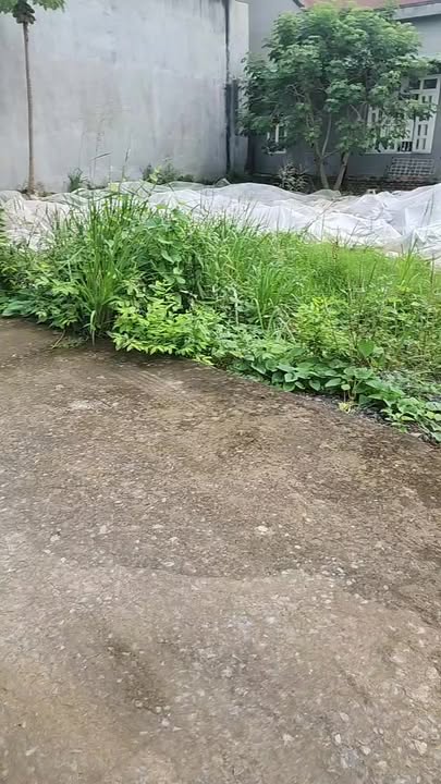 Đất thổ cư Quảng Tiến 99m² giá thỏa thuận - Đường rộng 6m, khu dân cư đông đúc!