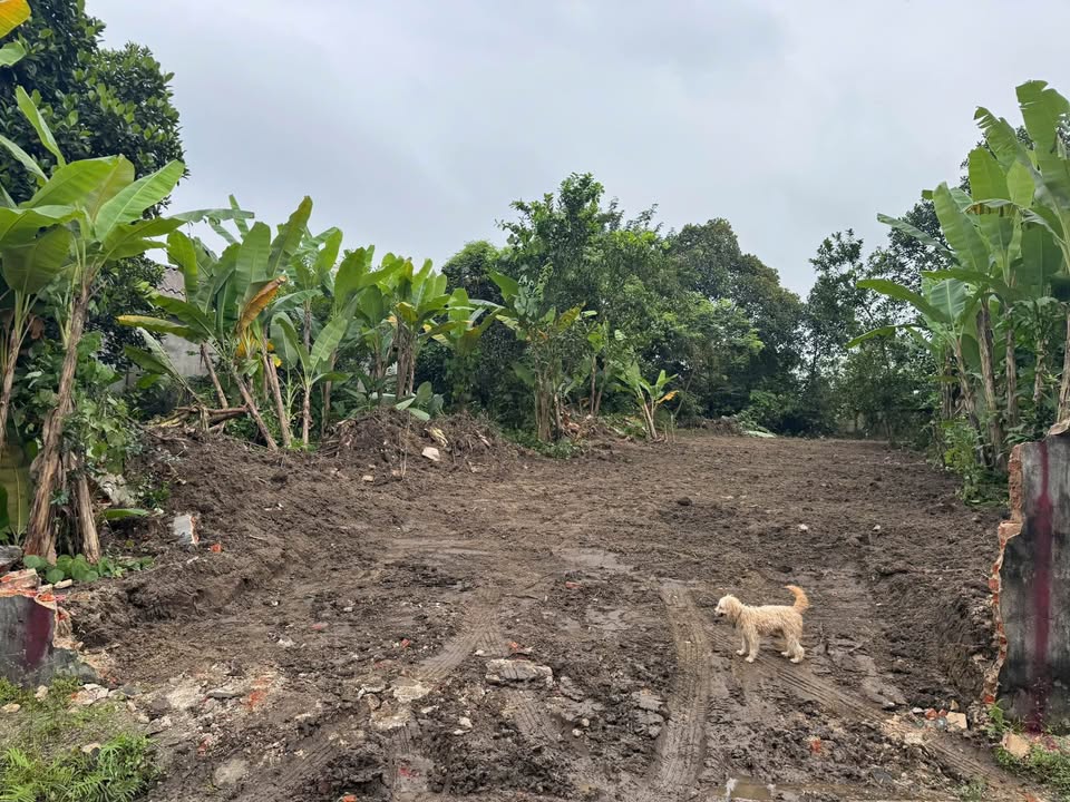 Đất thổ cư Phú Xá Thái Nguyên 200m² giá 1.7 tỷ - Đầu tư sinh lời ngay!