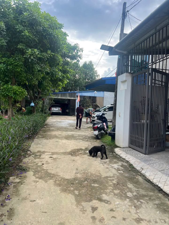 Đất nền phường Quang Trung, Thái Nguyên 259m² giá 2 tỷ - Cơ hội đầu tư sinh lời!