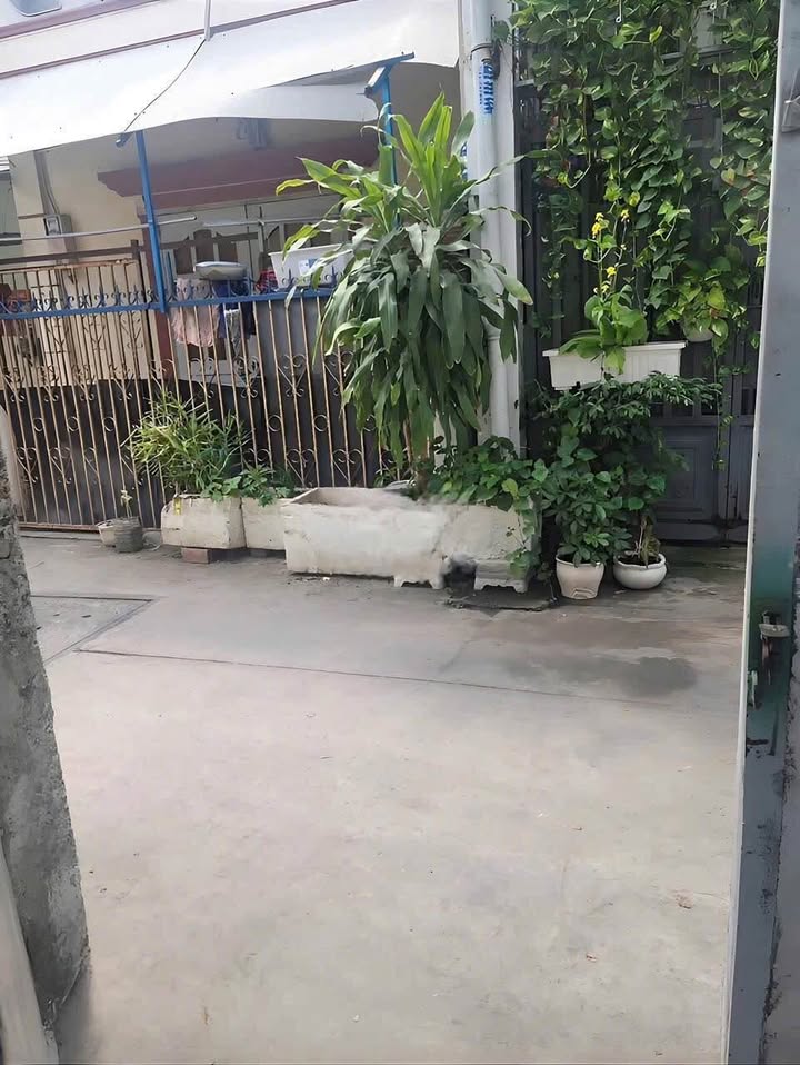 Đất nền đường Huỳnh Tấn Phát, quận 7, diện tích 66m², giá 5.2 tỷ - Cơ hội đầu tư hấp dẫn!