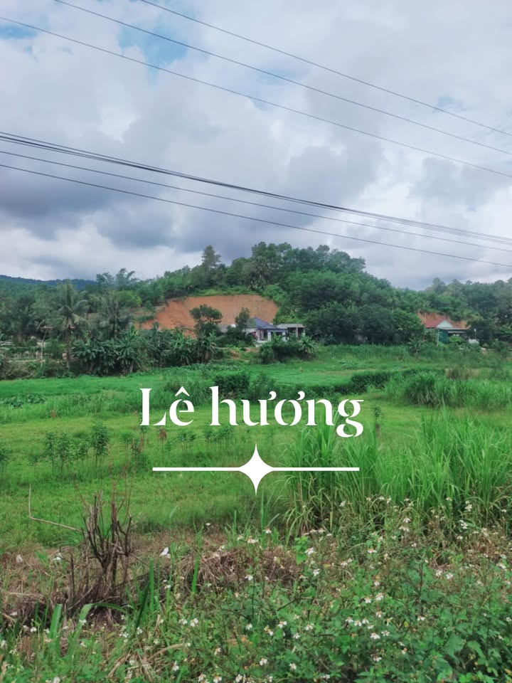 Nhà ống 5m x 34m tại Sơn Tây, Hương Sơn, Hà Tĩnh - Giá chỉ 600 triệu VND, thương lượng ngay!