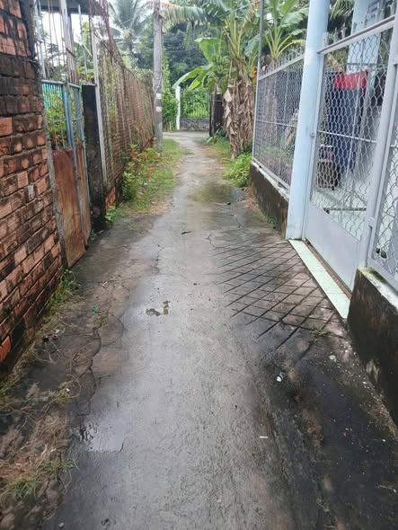 Đất cây lâu năm tại phường Thanh Đức, Vĩnh Long 100m² giá 380 triệu - Cơ hội đầu tư tuyệt vời!