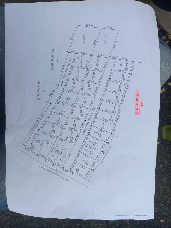 Đất nền đẹp tại phường Nam Đồ Sơn, Hải Phòng - Giá chỉ từ 600 triệu