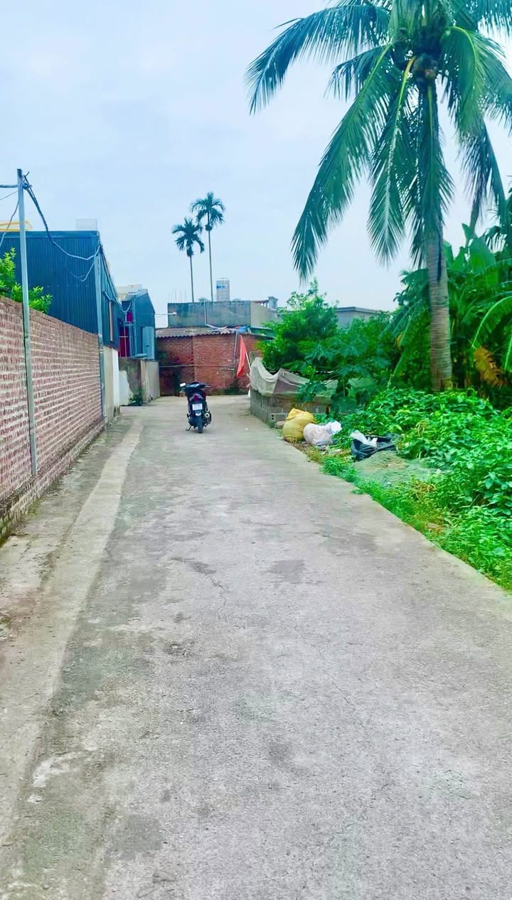 Đất nền An Thọ Kiến Thụy 118m² giá 1 tỷ - Chính chủ bán gấp!