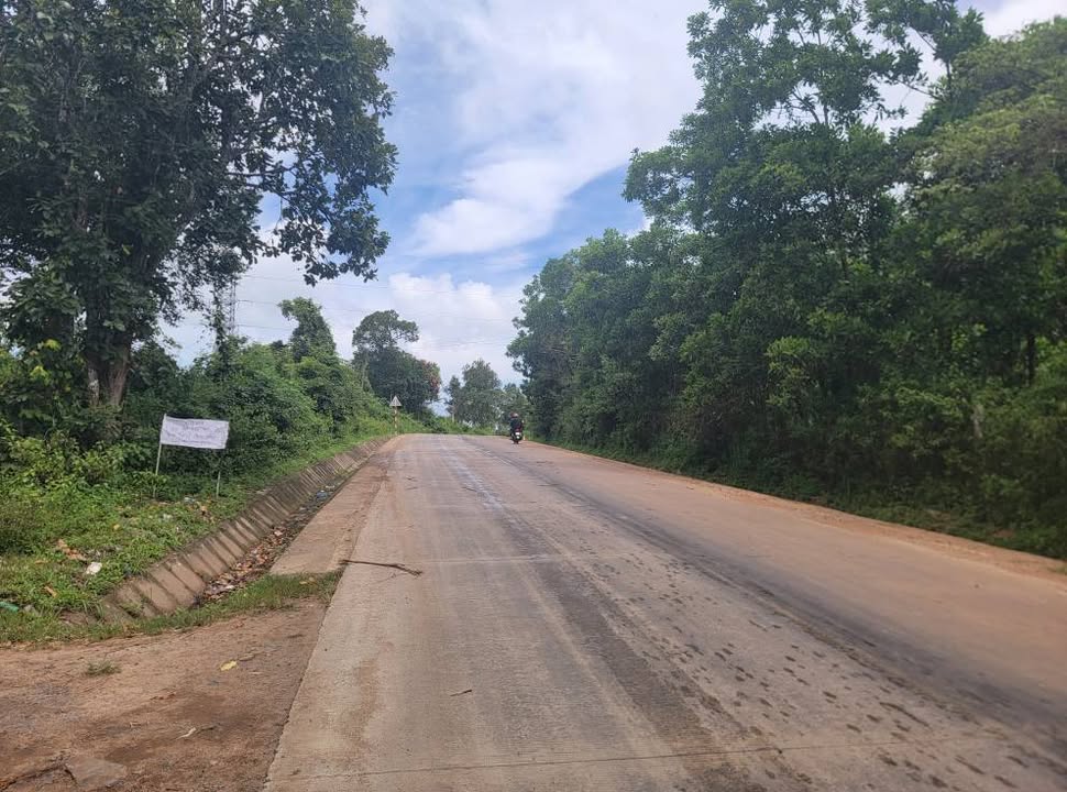 Farm 1127 ha tại Ea H'leo giá 12 tỷ - Cơ hội đầu tư sinh lời!