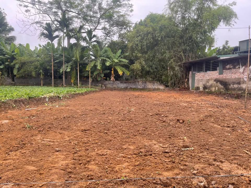 Đất thổ cư Xóm 3 Kim Phú 110m² giá 1.2 tỷ - Cơ hội đầu tư tuyệt vời!