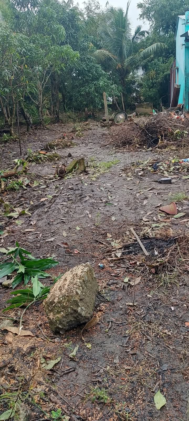 Đất mặt tiền Tài Văn 212m² giá chỉ 170 triệu - Đầu tư sinh lời tức thì!