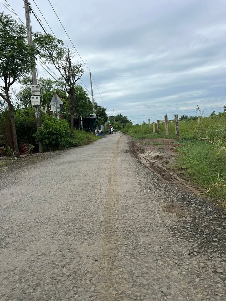 Đất nền thổ cư 260m² tại Xã Bình Ân, Tiền Giang - Giá chỉ 650 triệu!