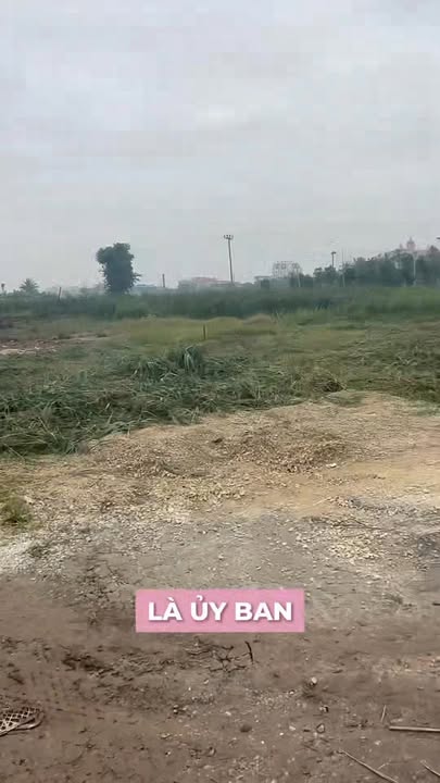 Lô đất đẹp tại Đại Hà, Kiến Thụy, 63.7m² chỉ 1 tỷ - Đầu tư sinh lời ngay!