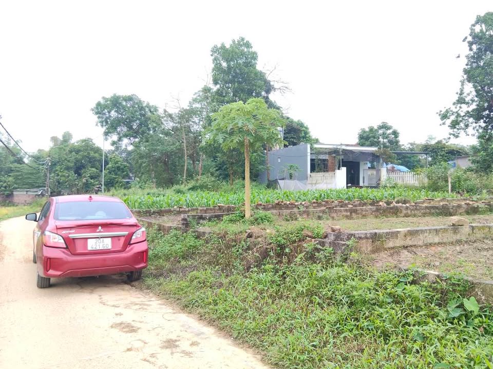 Đất thổ cư Phú Xá 96m² giá 1.1 tỷ - Đầu tư sinh lời ngay!