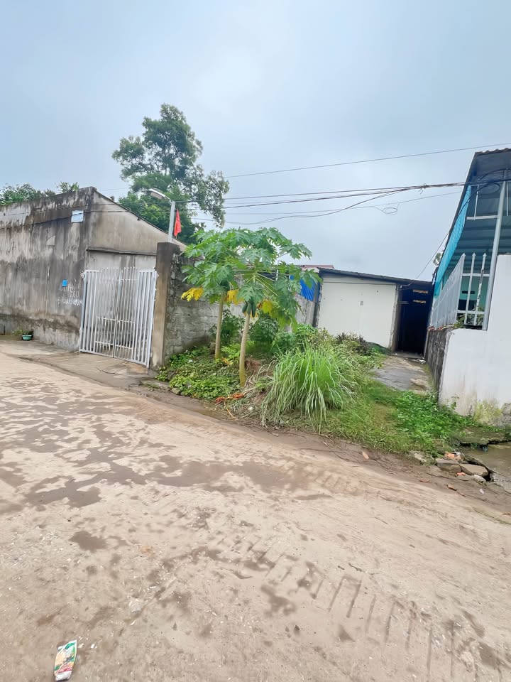 Đất nền Bách Quang Sông Công 125m² giá 800 triệu - Sở hữu ngay 3 phòng trọ khép kín!