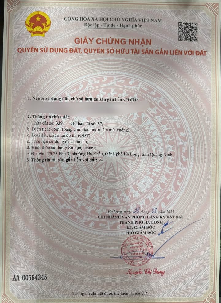 Đất nền Việt Hưng Hạ Long 65m² giá 1.3 tỷ - Đường ô tô vào tận nơi!