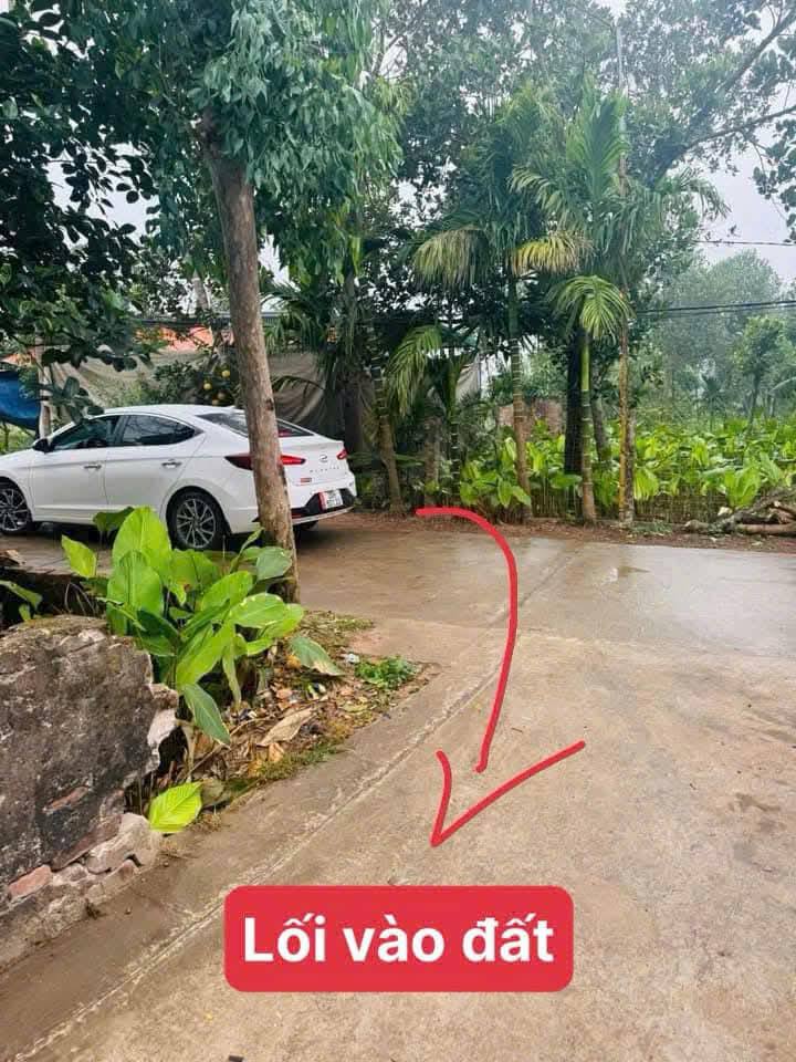 Lô đất Kim An Thanh Oai 63m² giá 2 tỷ - Cơ hội đầu tư hấp dẫn!