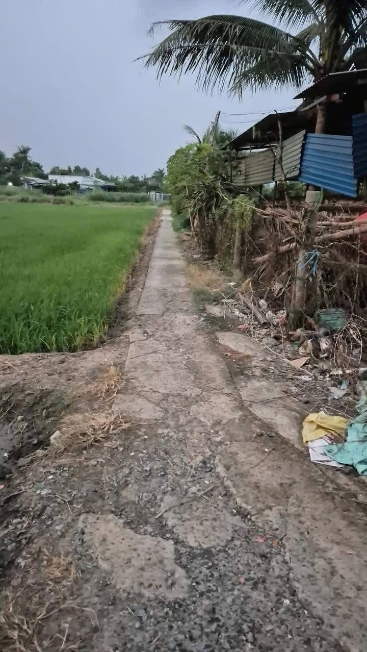 Đất nền xã Tân Lân, Cần Đước 863m² giá chỉ 470 triệu - Đầu tư sinh lời ngay!