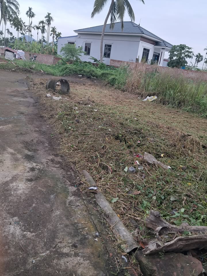 Đất nền lô góc 74,5m² Thiên Hương, Thủy Nguyên - Giá chỉ 1 tỷ, ô tô đỗ tận đất!