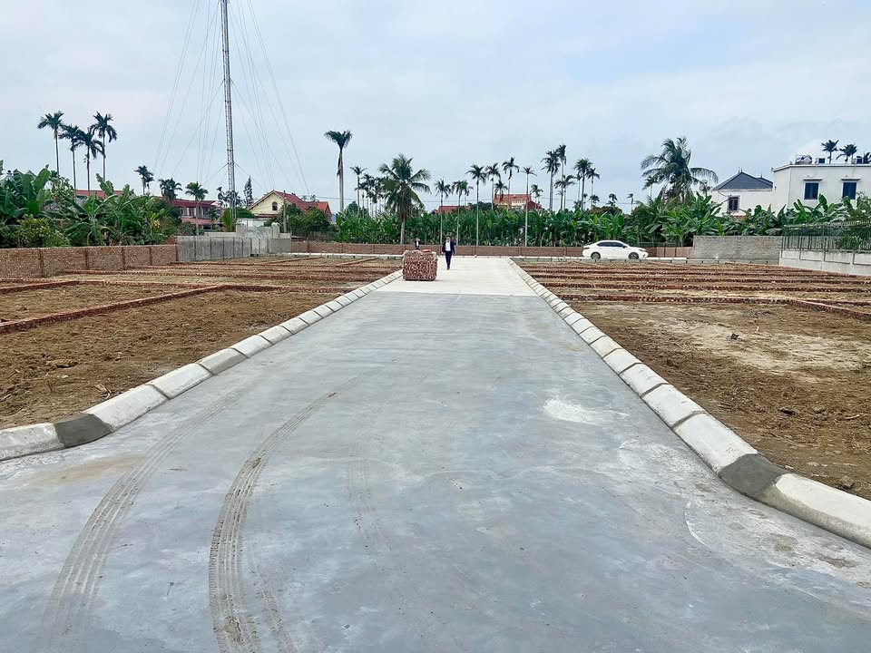 Đất nền Tân Viên, An Lão 107m² giá chỉ 766 triệu - Cơ hội đầu tư hiếm có!