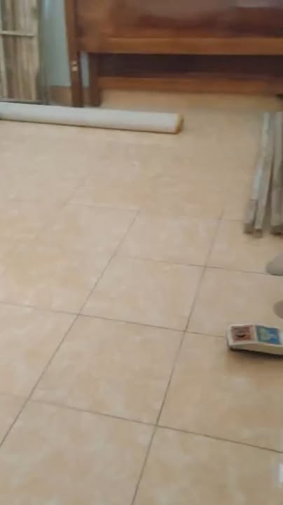 Cho thuê phòng trọ tại Tam Hiệp, Hà Nội 20m² - Tiện nghi đầy đủ, vào ở ngay!