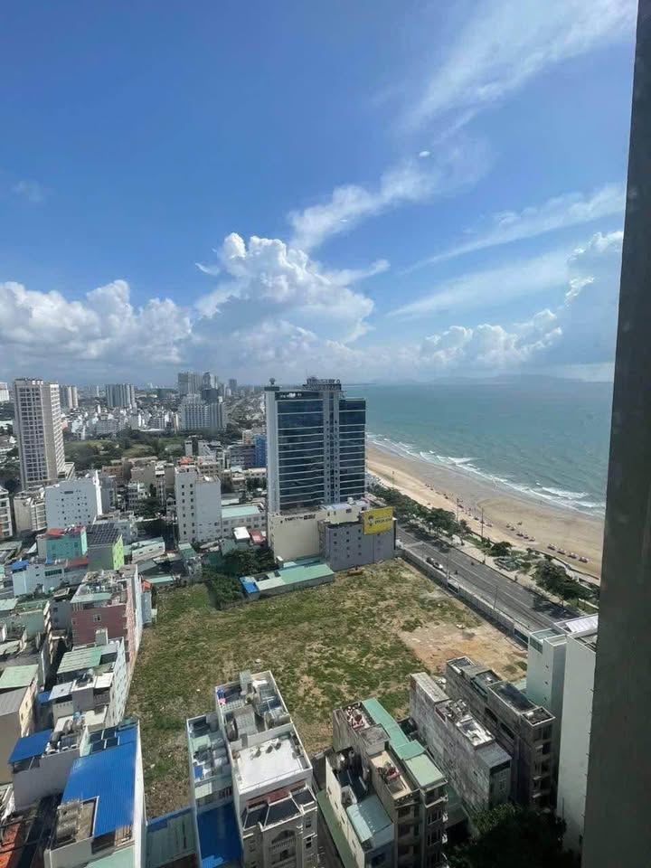 Đất thổ cư mặt tiền đường Trần Phú Vũng Tàu 1.600m² giá 64 tỷ - Cơ hội đầu tư hấp dẫn!