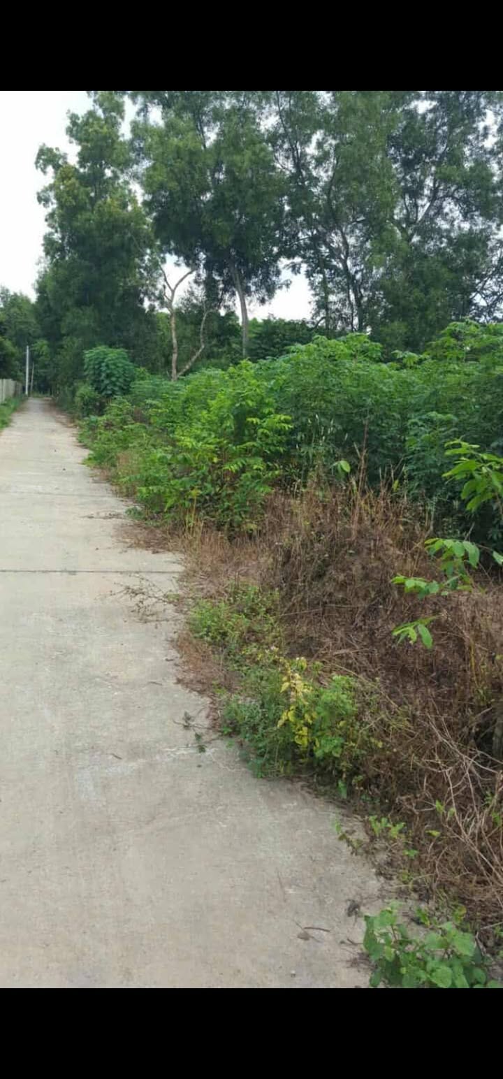 Đất nền 2 mặt tiền đường 23, Nghĩa Thành, Châu Đức 530m² - Giá chỉ 1.75 tỷ VND